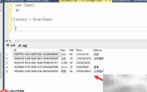 select语句中if的使用技巧