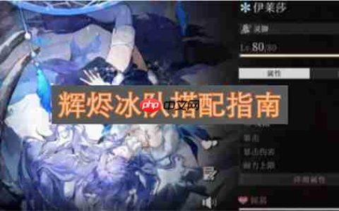辉烬冰队搭配指南