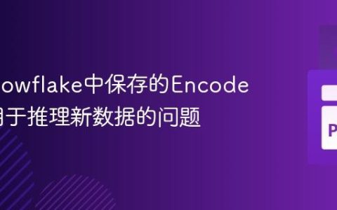 解决Snowflake中保存的Encoder无法用于推理新数据的问题