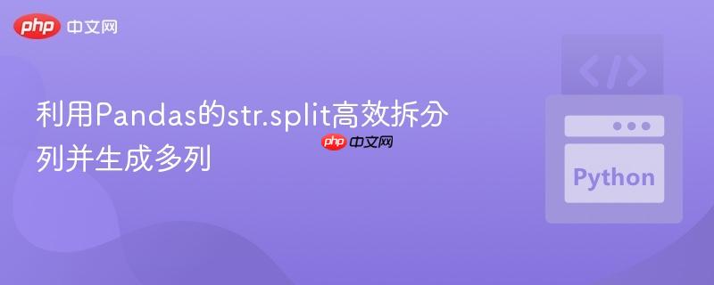 利用Pandas的str.split高效拆分列并生成多列