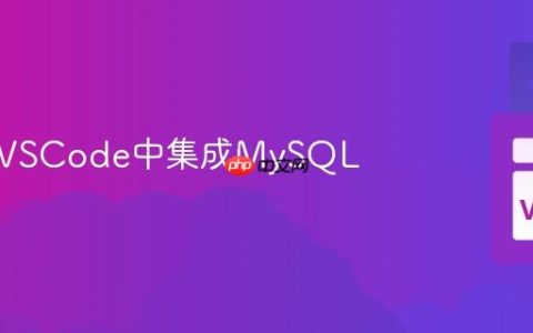 如何在VSCode中集成MySQL