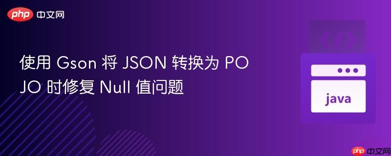 使用 gson 将 json 转换为 pojo 时修复 null 值问题