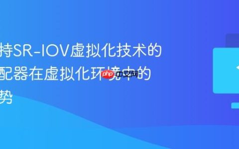 构建支持SR-IOV虚拟化技术的网络适配器在虚拟化环境中的性能优势