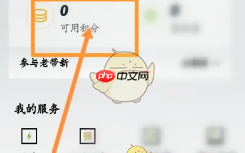 《小鹏汽车》积分作用介绍