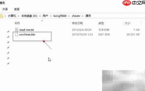 DeSmuME使用R4金手指教程
