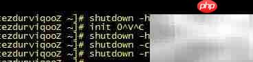 Linux常用命令速查