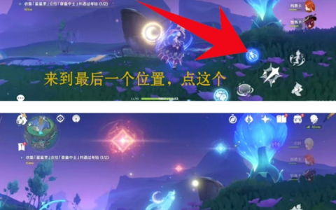 原神最后三个星星果的详细位置分布图