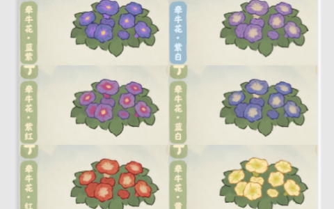 《桃源深处有人家》牵牛花育种配方大全