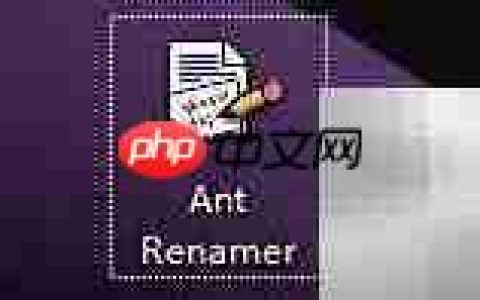 Ant Renamer修改扩展名方法