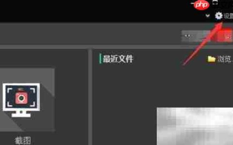 VSDC如何设置最近邻插值
