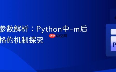 命令行参数解析：Python中-m后省略空格的机制探究