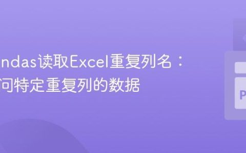 处理Pandas读取Excel重复列名：如何访问特定重复列的数据