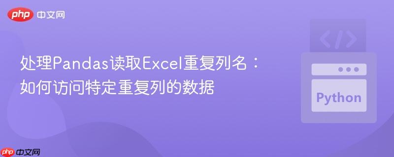 处理Pandas读取Excel重复列名:如何访问特定重复列的数据