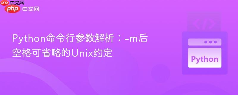 Python命令行参数解析:-m后空格可省略的Unix约定