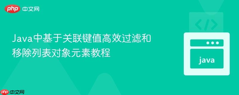 Java中基于关联键值高效过滤和移除列表对象元素教程