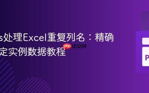 Pandas处理Excel重复列名：精确提取特定实例数据教程