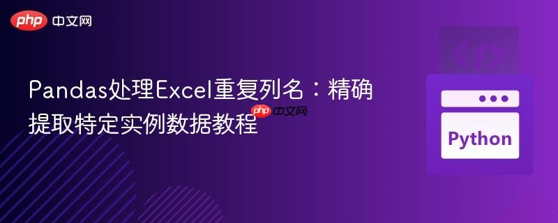 Pandas处理Excel重复列名:精确提取特定实例数据教程