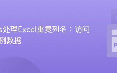 Pandas处理Excel重复列名：访问指定实例数据