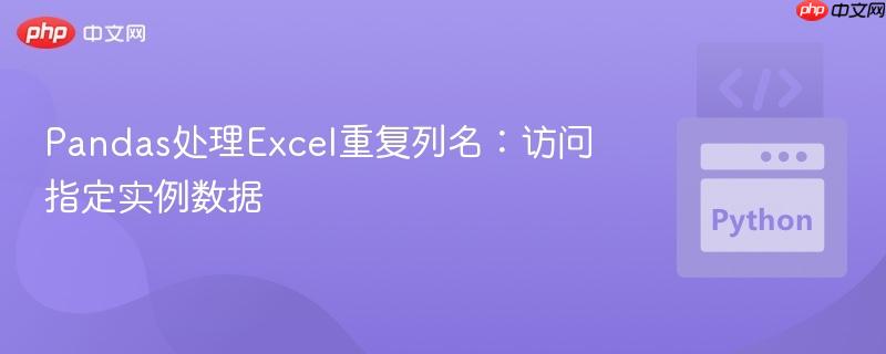 Pandas处理Excel重复列名：访问指定实例数据