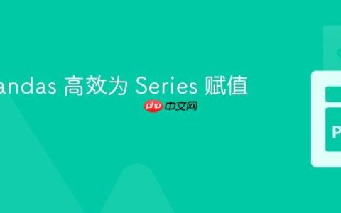 使用 Pandas 高效为 Series 赋值序列号