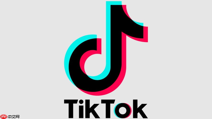 TikTok国际版官网链接_TikTok国际版官网链接进入在线观看