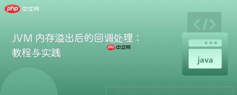 jvm 内存溢出后的回调处理:教程与实践