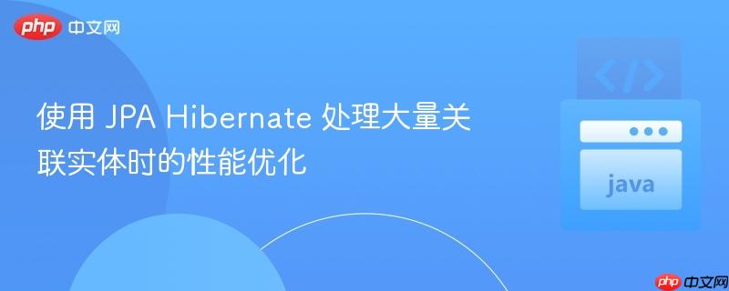使用 jpa hibernate 处理大量关联实体时的性能优化