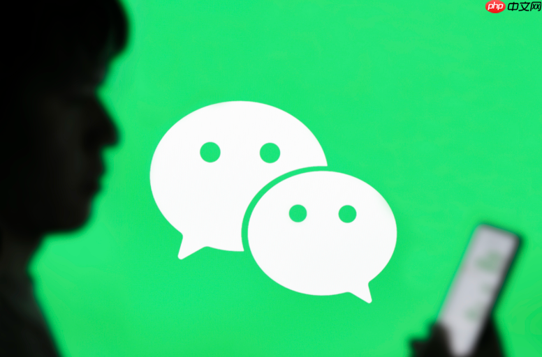 微信如何使用支付分_微信支付分的信用提升