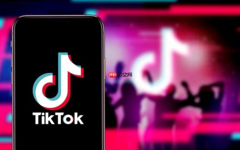 tiktok国际版高清版本_国际抖音tiktok流畅播放入口