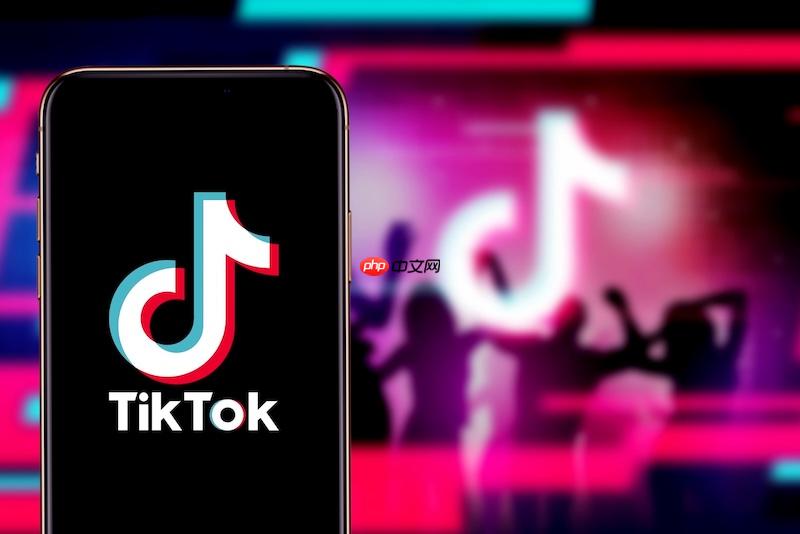 tiktok国际版高清版本_国际抖音tiktok流畅播放入口