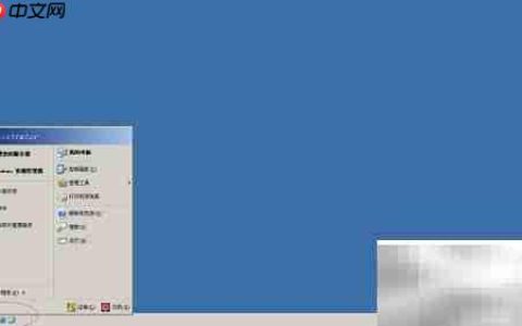 Windows Server 2003更改文件所有者