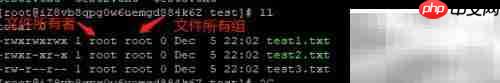 Linux用户权限配置指南