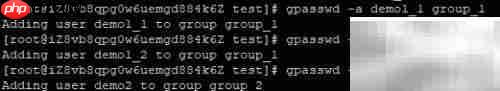 Linux用户权限配置指南