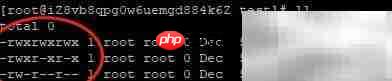 Linux用户权限配置指南