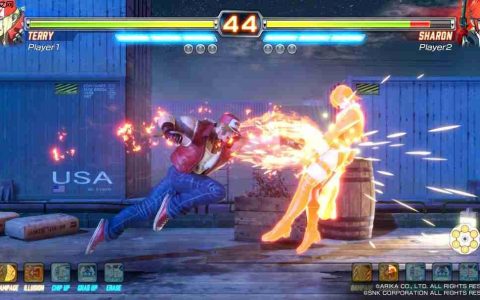 《格斗领域EX》大降价 Steam国区从116元降至6元