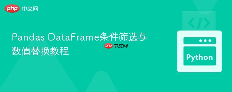 Pandas DataFrame条件筛选与数值替换教程