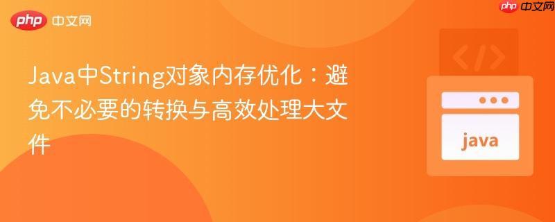 Java中String对象内存优化：避免不必要的转换与高效处理大文件