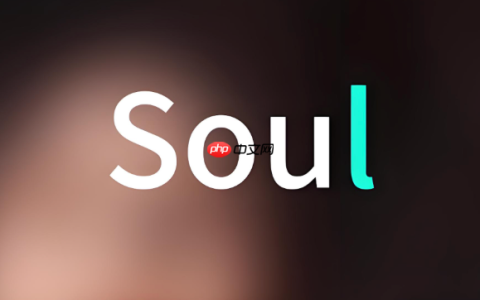 soul怎么把souler推荐给好友_Soul好友推荐方法
