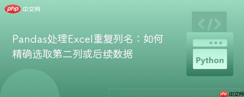Pandas处理Excel重复列名:如何精确选取第二列或后续数据