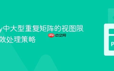 NumPy中大型重复矩阵的视图限制与高效处理策略
