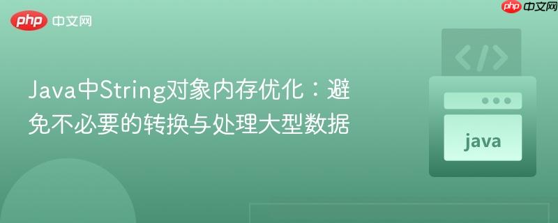 Java中String对象内存优化：避免不必要的转换与处理大型数据