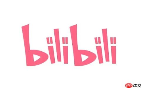 Bilibili官网访问 Bilibili网页版登录页