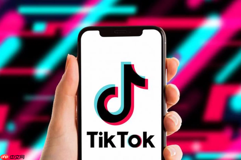 TikTok视频播放卡顿怎么办 TikTok视频播放优化与网络设置技巧