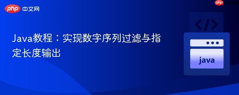 Java教程:实现数字序列过滤与指定长度输出