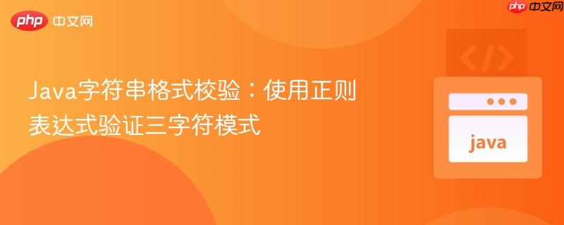 Java字符串格式校验:使用正则表达式验证三字符模式