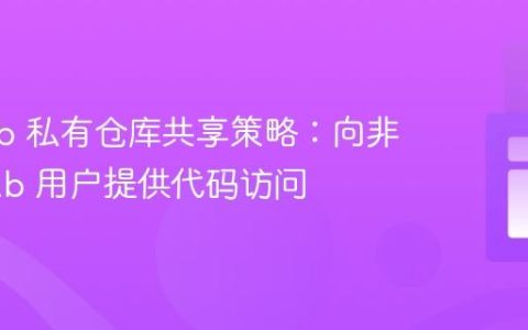 GitHub 私有仓库共享策略：向非 GitHub 用户提供代码访问
