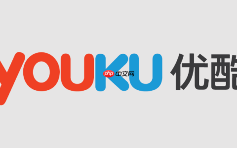 优酷APP打不开是什么问题_优酷无法启动原因与修复方法