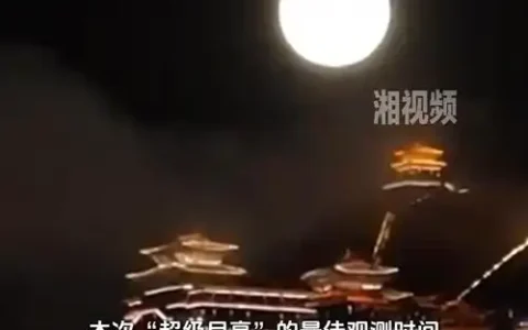 年度最大超级月亮11月5日登场，这份观测指南请收好！