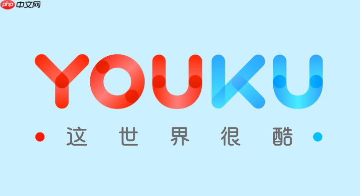 优酷视频加载到99%不动了怎么办_优酷播放卡顿与缓冲问题解决