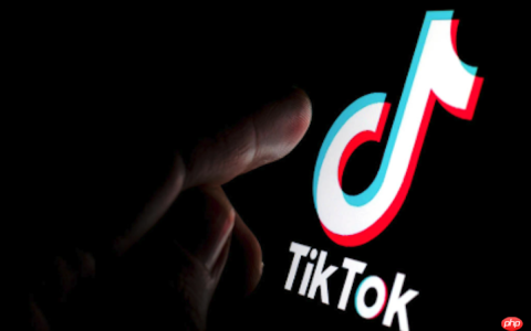 tiktok正版在线登录 tiktok官方网站登录入口
